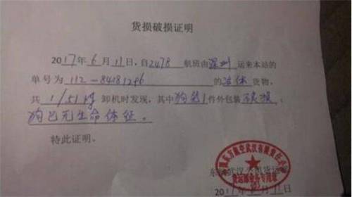 貨運(yùn)公司送貨證明怎么開(kāi)貨運(yùn)公司送貨證明怎么開(kāi)具