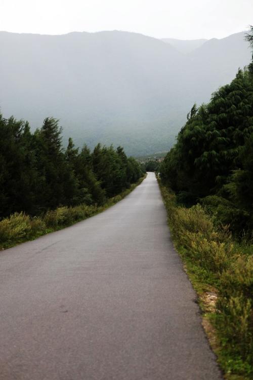 沈陽至麗江市貨運(yùn)電話沈陽至麗江市貨運(yùn)電話號碼