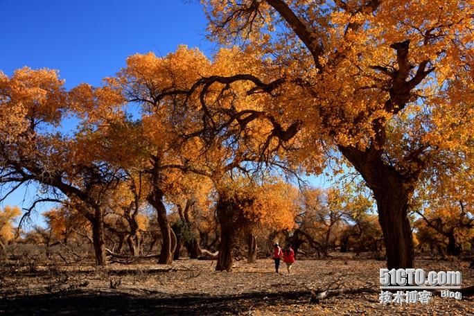 遠(yuǎn)古倉(cāng)儲(chǔ)貨運(yùn)遠(yuǎn)古庫(kù)存:d