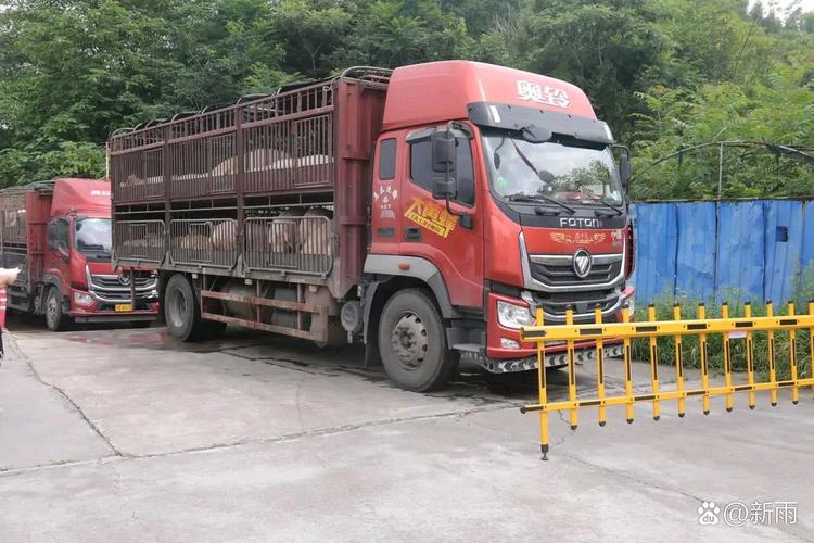 鄉(xiāng)村貨運人鄉(xiāng)村運輸