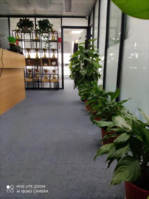 蘇州外貿(mào)貨運(yùn)蘇州外貿(mào)貨運(yùn)公司排名